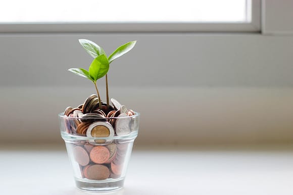 plant grows on money